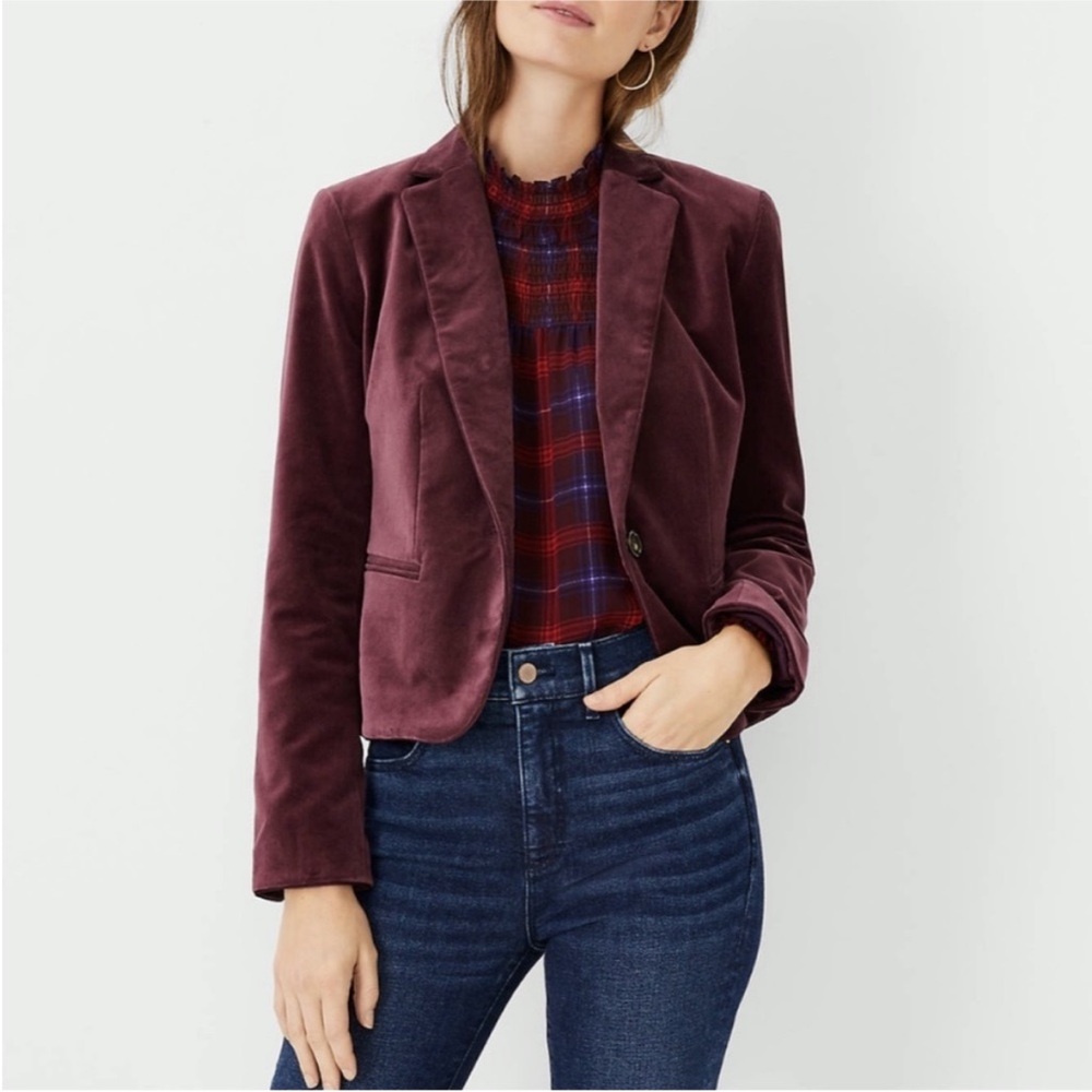 Ann Taylor Newbury Blazer in Velvet, Color “Plum Rose,” in Size 12